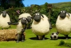 小羊返场爆料视频大全最新,精彩瞬间回顾与独家揭秘